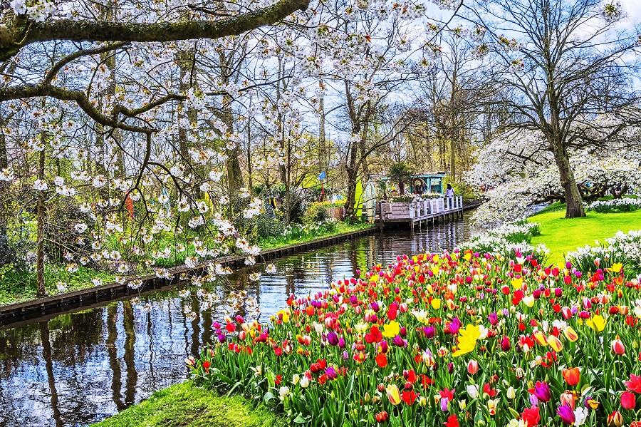 Keukenhof in the Netherlands