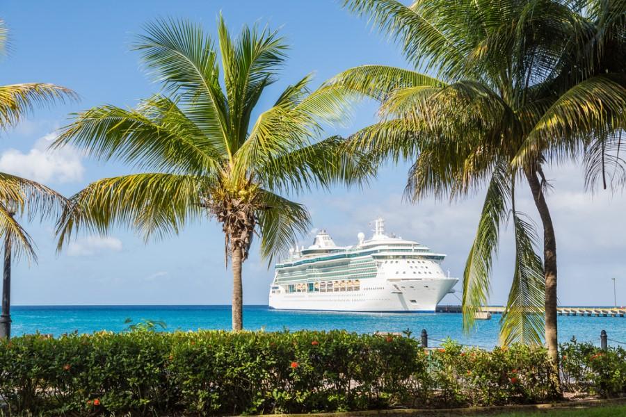 A large cruise ship anchored in clear blue water, visible through the palms and green foliage in the foreground. Popular cruise routes lead through the Caribbean.