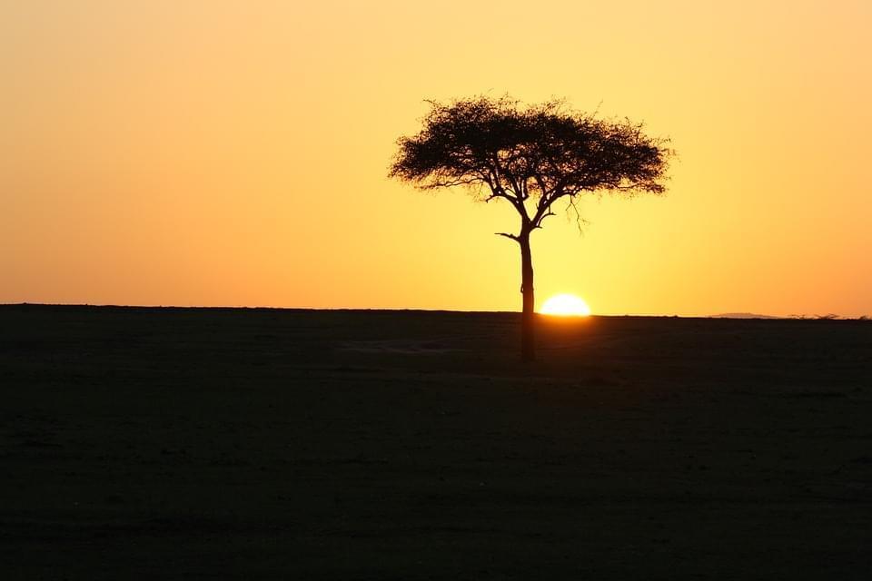 Masai Mara National Park, Kenya: where it is, when to go and what to see