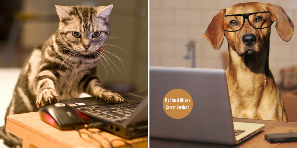 My Travel Affairs Server Services