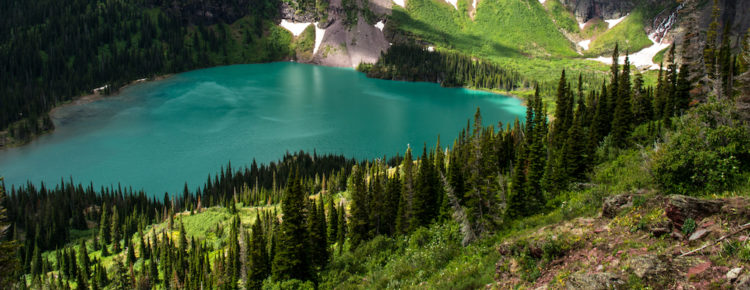 Grinnell Glacier Trail, Montana, USA